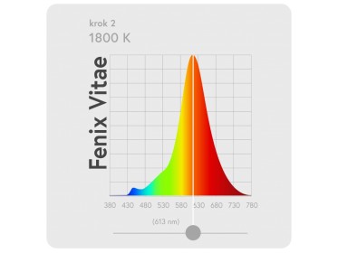 Fenix Vitae tölthető fejlámpa