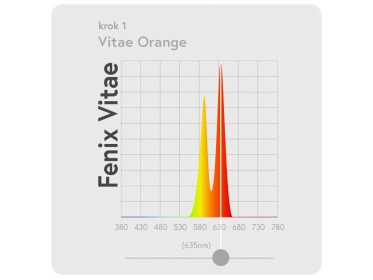 Fenix Vitae tölthető fejlámpa